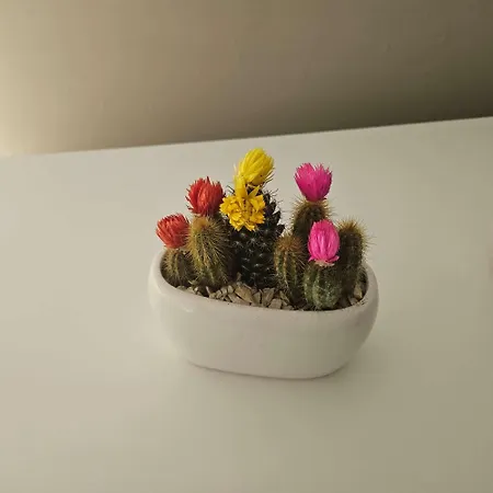 Maca House 2 Lägenhet *