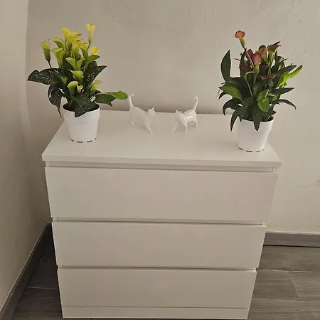 Appartement Maca House 2